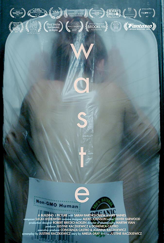 Waste (2016) постер