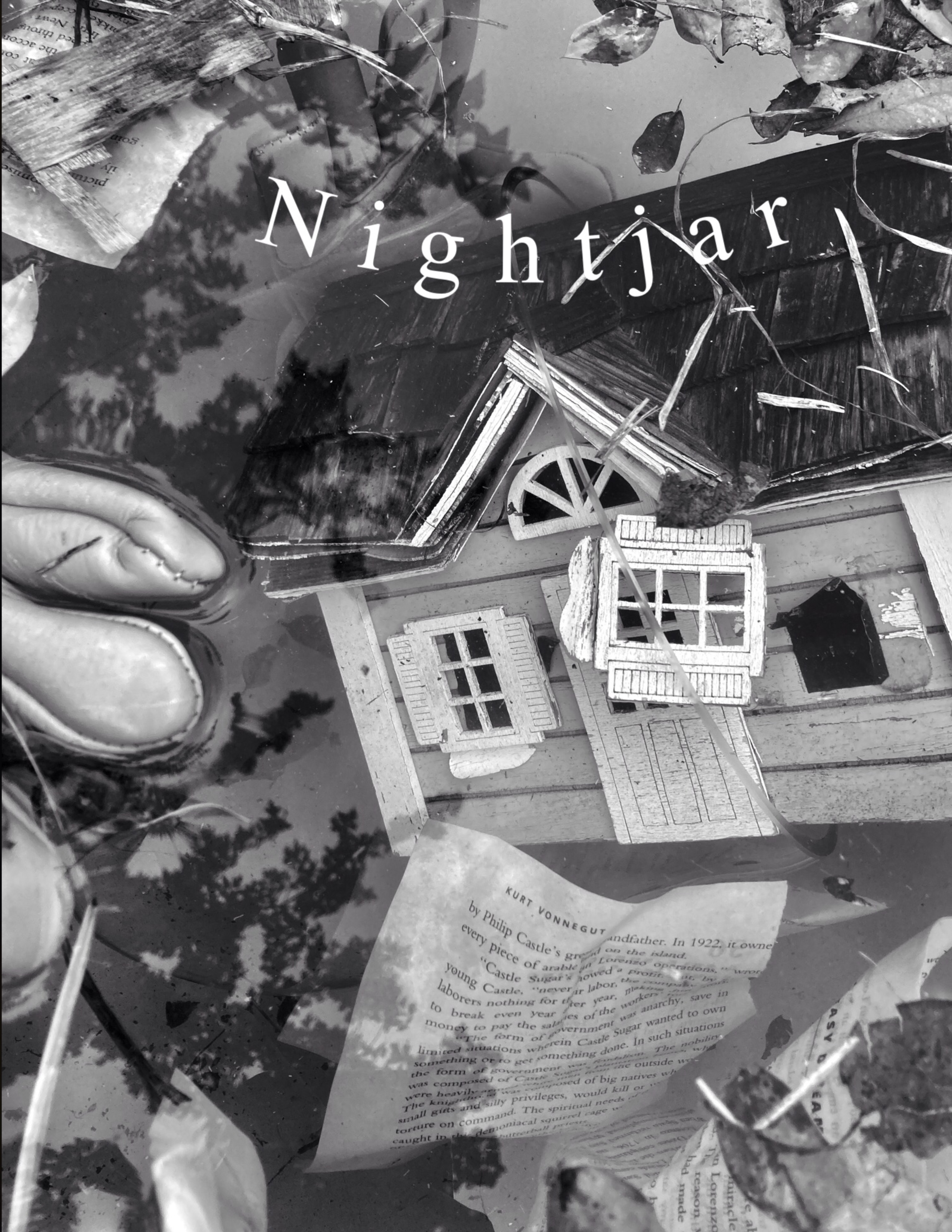 Nightjar (2021) постер