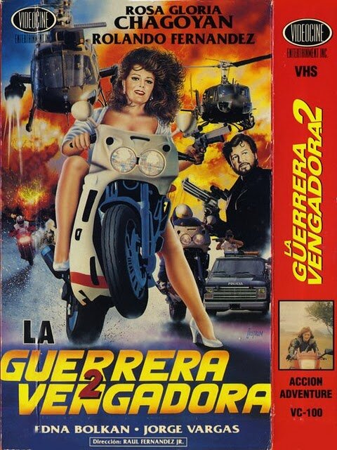 La vengadora 2 (1991) постер