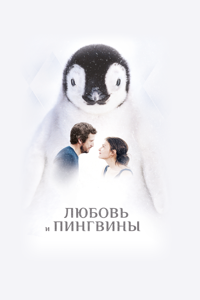 Любовь и пингвины (2016) постер