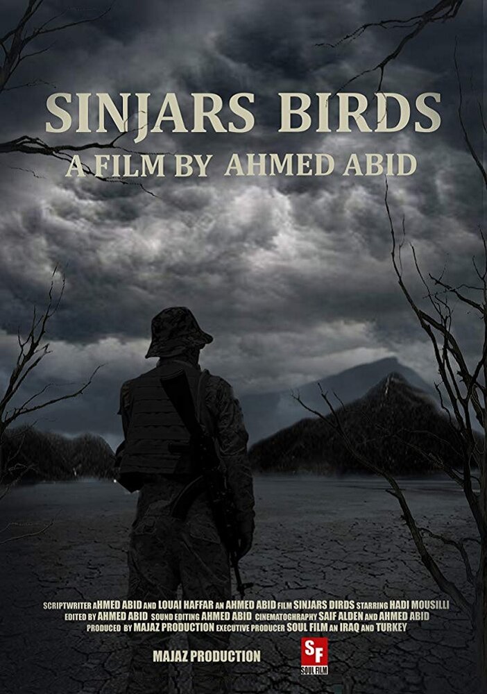 Sinjars Birds (2018) постер