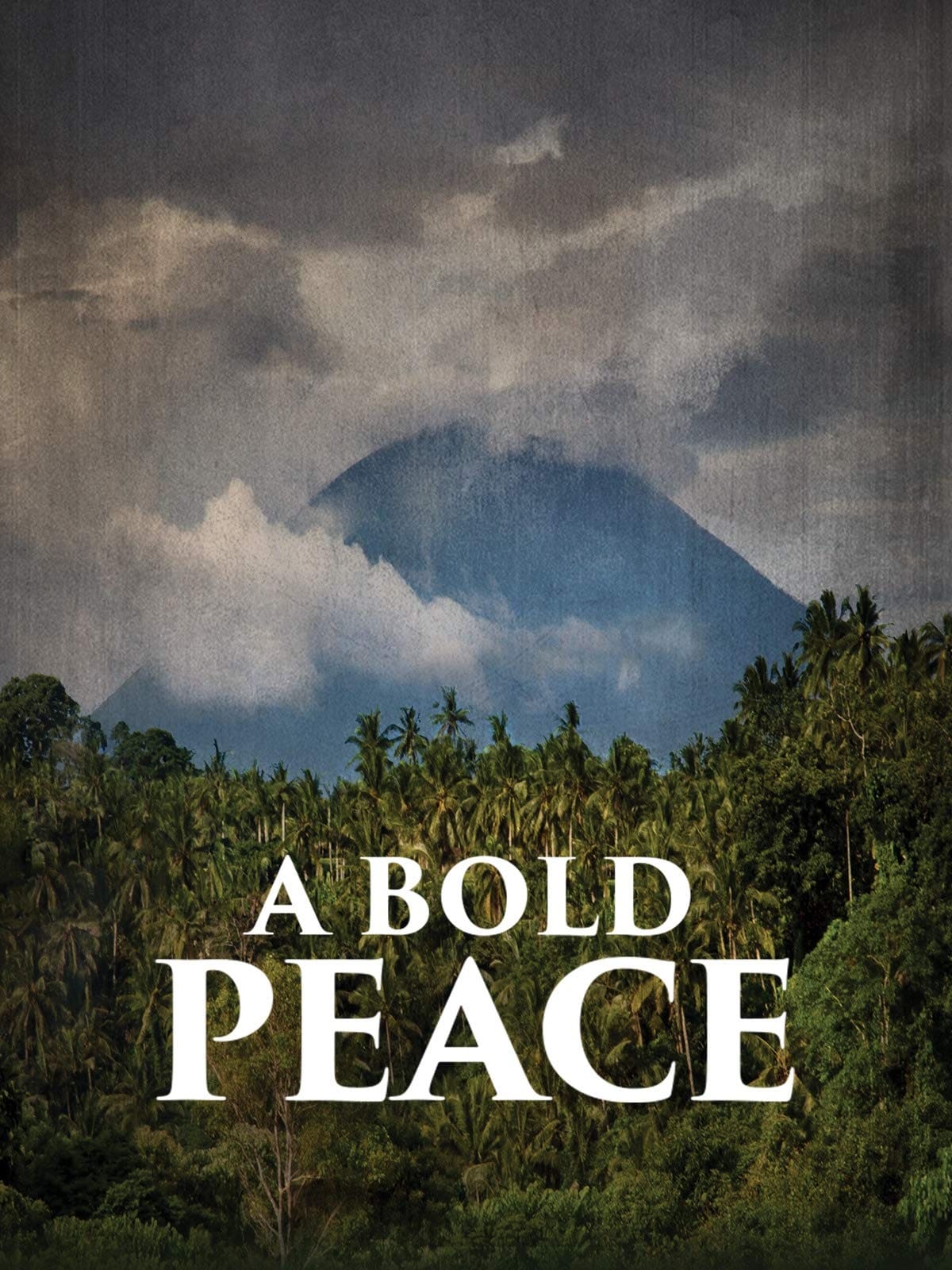 A Bold Peace (2016) постер