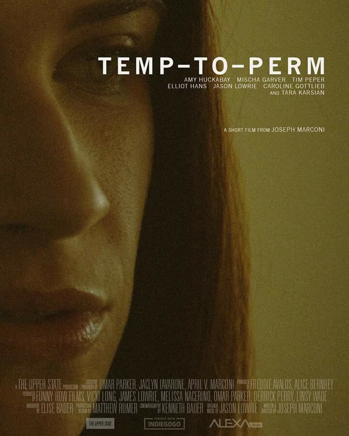 Temp-To-Perm (2017) постер
