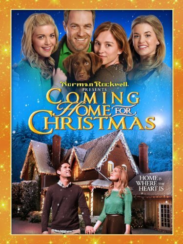 Coming Home for Christmas (2013) постер