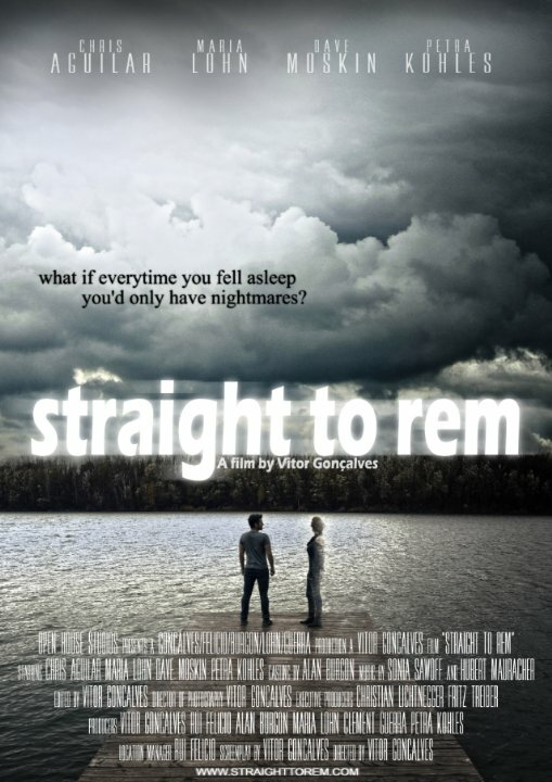 Straight to Rem (2014) постер