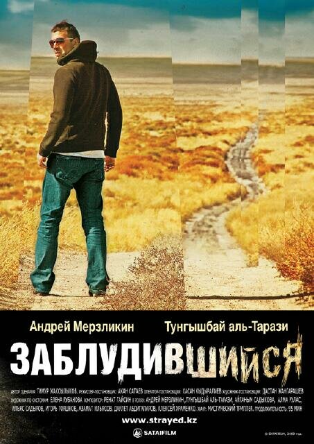 Заблудившийся (2009) постер