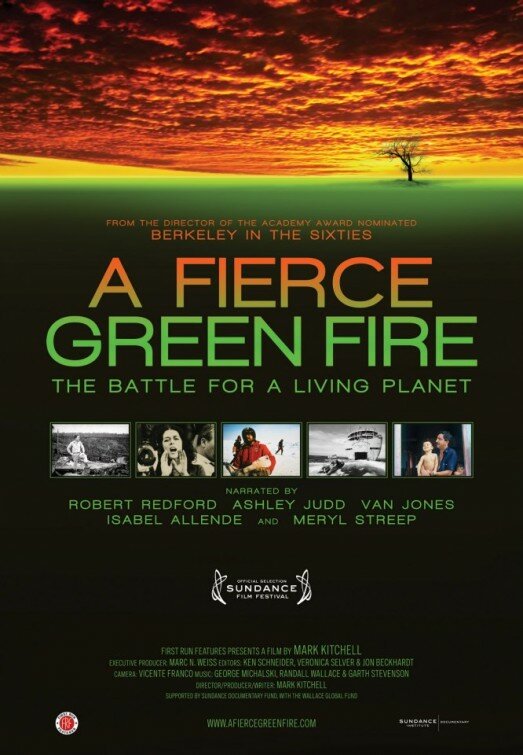 A Fierce Green Fire (2012) постер