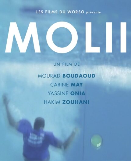 Моли (2014) постер