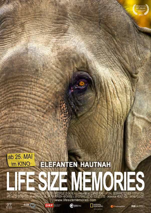 Слоны как они есть (2012) постер