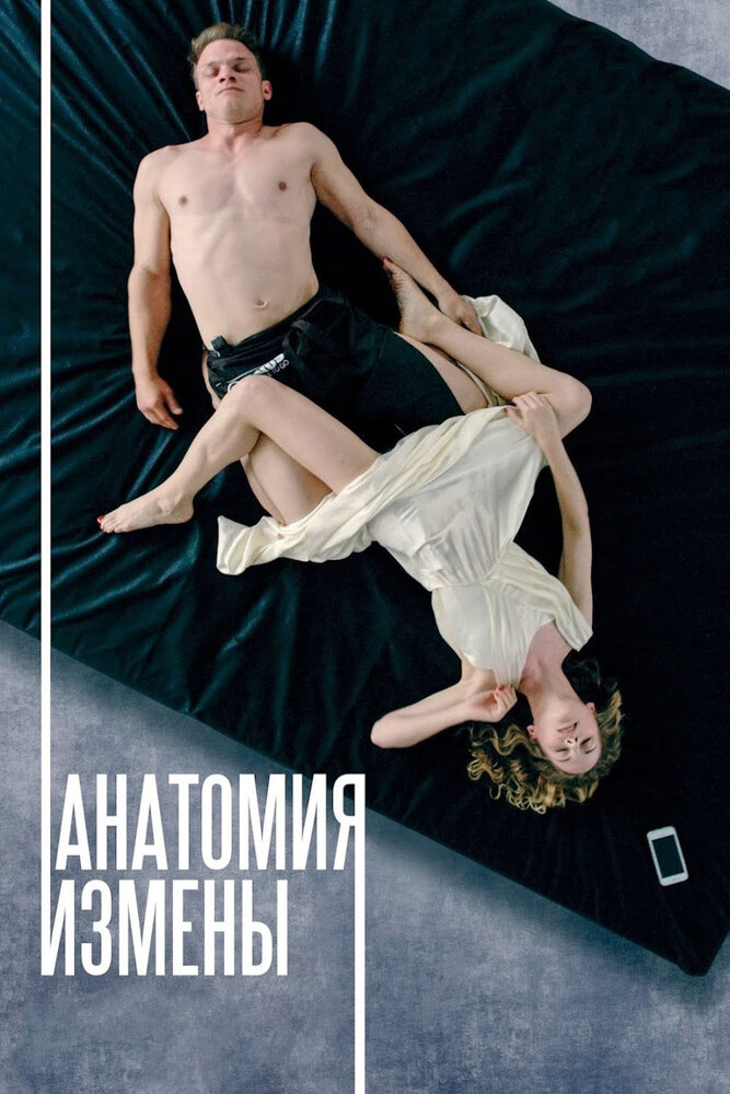 Анатомия измены (2017) постер