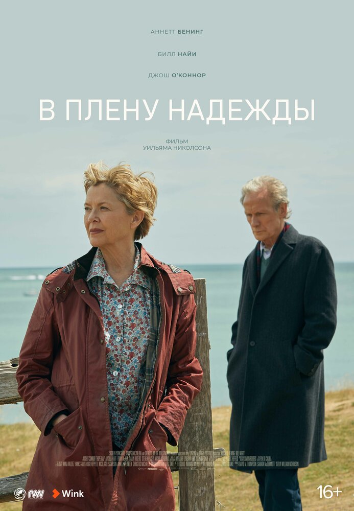 В плену надежды (2019) постер