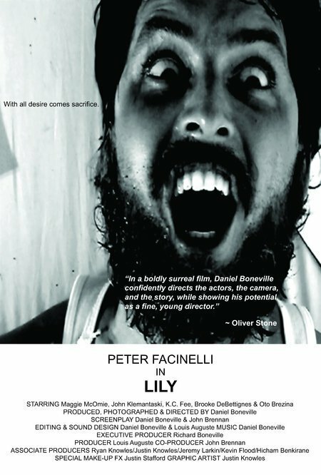 Лили (2007) постер