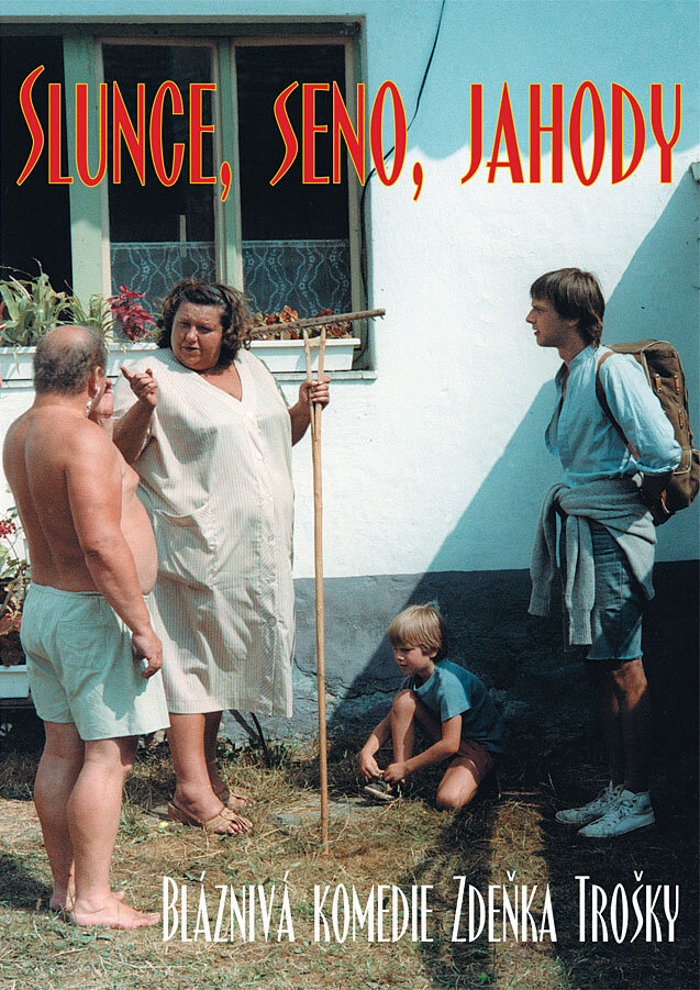 Экспериментатор (1984) постер