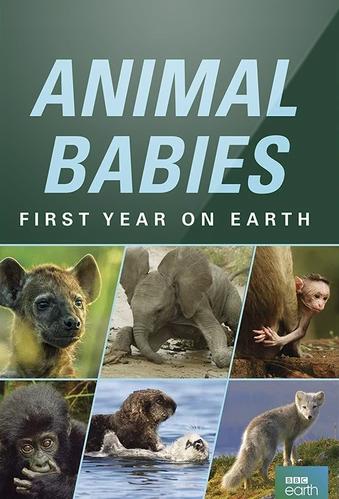 Animal Babies: First Year on Earth (2019) постер