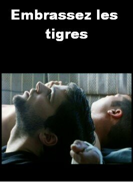 Обнимите тигров (2004) постер