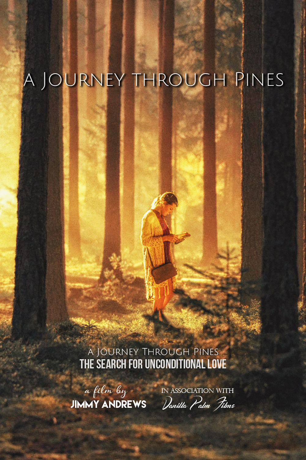 A Journey Through Pines (2017) постер