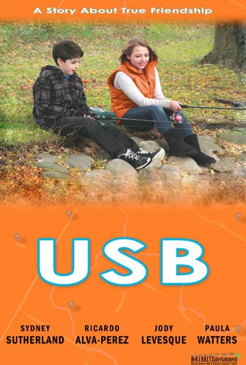 USB (2014) постер