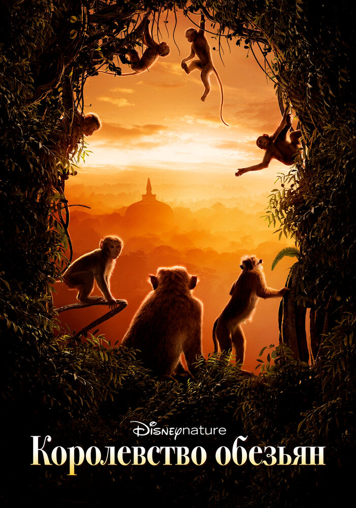 Королевство обезьян (2015) постер
