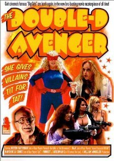 The Double-D Avenger (2001) постер