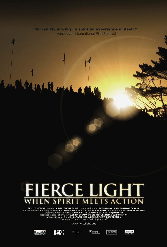 Fierce Light: When Spirit Meets Action (2008) постер