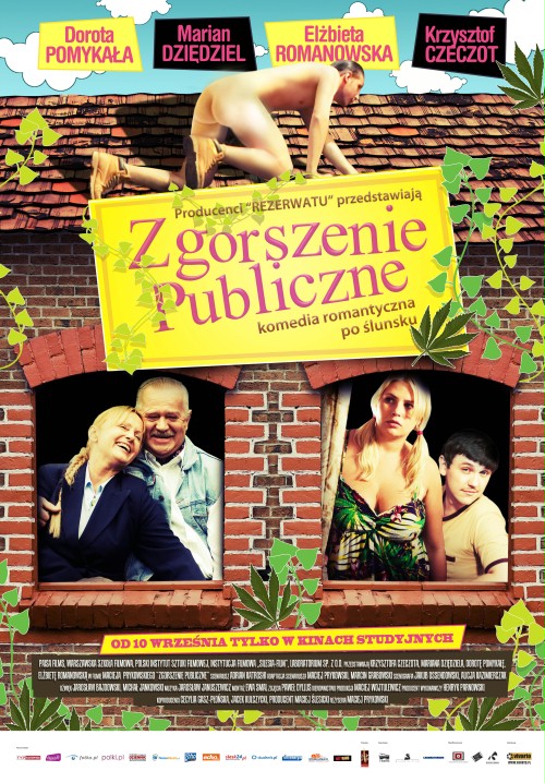 Публичный скандал (2010) постер