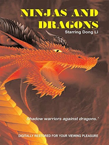 Ниндзя и драконы (1984) постер