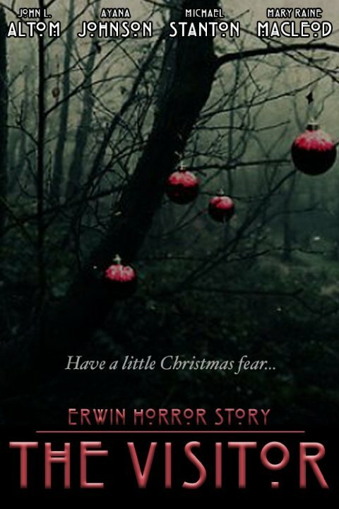 Erwin Horror Story: The Visitor (2015) постер