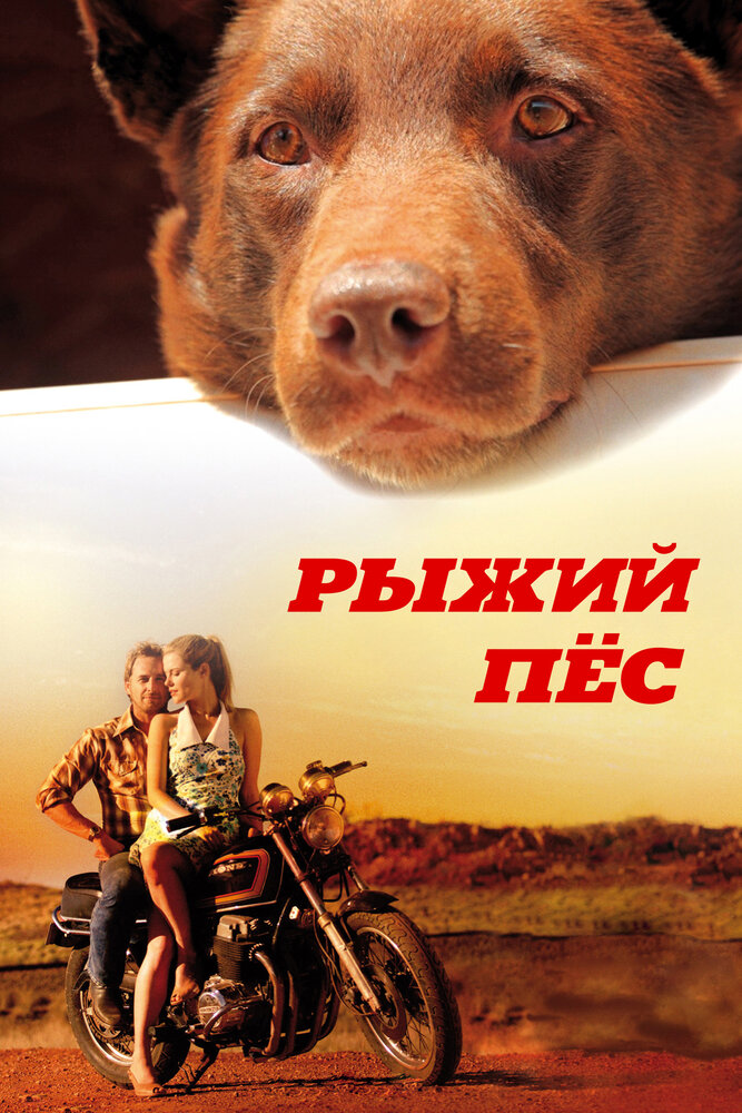 Рыжий пес (2011) постер