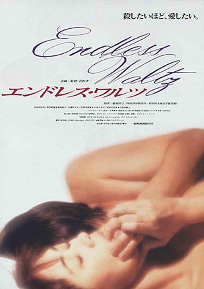 Бесконечный вальс (1995) постер
